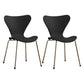 Modern Armless Side Chairs with 4 Black Finish Legs Plastic Solid Chairs for Home Use Black Brass Gold Set of 2 Clearhalo ' kitchen&dining_furn' 'Dining Chairs' 'Dining Tables & Seating' 'dining_chair' 'Furniture' 'furniture_dining_chair' 'Kitchen & Dining Furniture' 'kitchen' 3453887