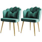 Glam Style 16.5'' Wide Dining Room Chair Solid Back Chair with 4 Metal Legs for Home Use Green Brass Gold Set of 2 Clearhalo ' kitchen&dining_furn' 'Dining Chairs' 'Dining Tables & Seating' 'dining_chair' 'Furniture' 'furniture_dining_chair' 'Kitchen & Dining Furniture' 'kitchen' 3455300