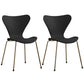 Glam Style Metal Side Chair Solid Back Matte Finish Home Use Dining Chair Black Brass Gold Set of 2 Clearhalo ' kitchen&dining_furn' 'Dining Chairs' 'Dining Tables & Seating' 'dining_chair' 'Furniture' 'furniture_dining_chair' 'Kitchen & Dining Furniture' 'kitchen' 3455364