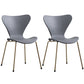 Glam Style Metal Side Chair Solid Back Matte Finish Home Use Dining Chair Grey Brass Gold Set of 2 Clearhalo ' kitchen&dining_furn' 'Dining Chairs' 'Dining Tables & Seating' 'dining_chair' 'Furniture' 'furniture_dining_chair' 'Kitchen & Dining Furniture' 'kitchen' 3455376