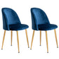 Glam Style 16.5'' Wide Dining Room Chair Solid Back Side Chair with 4 Legs for Home Use Navy Blue 2 Piece Set Brass Gold Clearhalo ' kitchen&dining_furn' 'Dining Chairs' 'Dining Tables & Seating' 'dining_chair' 'furn' 'furn_dining_chair' 'Furniture' 'furniture_dining_chair' 'Kitchen & Dining Furniture' 'kitchen' 3467356