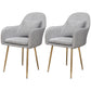 Scandinavian Dining Arm Chair Solid Back Chair with Metal Legs for Home Use Grey 2 Piece Set Brass Gold Clearhalo ' kitchen&dining_furn' 'Dining Chairs' 'Dining Tables & Seating' 'dining_chair' 'furn' 'furn_dining_chair' 'Furniture' 'furniture_dining_chair' 'Kitchen & Dining Furniture' 'kitchen' 3467890