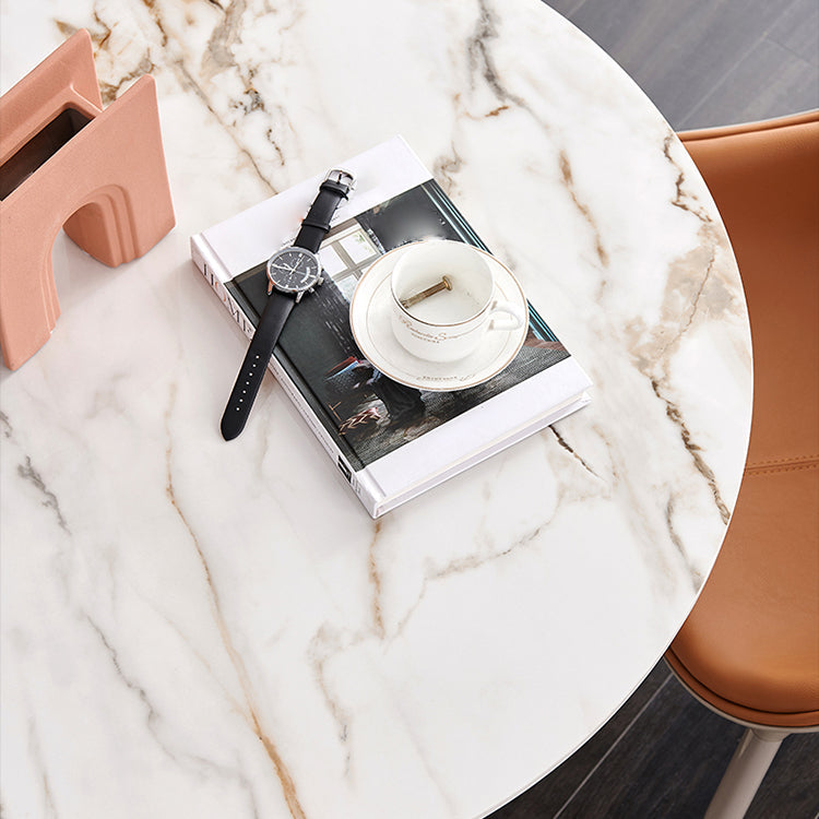 Sintered Stone Modern DiningRoomTableSet with Round Table and Pedestal Base Dinette Set Clearhalo 'Dining Room Sets' 'Dining Tables & Seating' 'dining_room_set' 'furn' 'furn_dining_room_set' 'Furniture' 'furniture_dining_room_set' 'Kitchen & Dining Furniture' 'kitchen&dining_furn' 'kitchen' 3473640