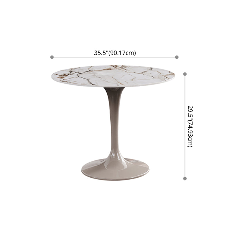 Sintered Stone Modern DiningRoomTableSet with Round Table and Pedestal Base Dinette Set Clearhalo 'Dining Room Sets' 'Dining Tables & Seating' 'dining_room_set' 'furn' 'furn_dining_room_set' 'Furniture' 'furniture_dining_room_set' 'Kitchen & Dining Furniture' 'kitchen&dining_furn' 'kitchen' 3473649
