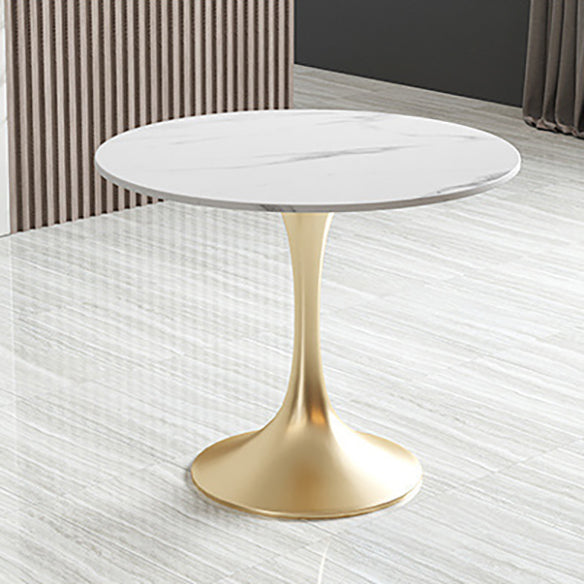 Glam Sintered Stone White Dining Room Set with Round Table and Metal Base Dining Table Furniture Clearhalo 'Dining Room Sets' 'Dining Tables & Seating' 'dining_room_set' 'furn' 'furn_dining_room_set' 'Furniture' 'furniture_dining_room_set' 'Kitchen & Dining Furniture' 'kitchen&dining_furn' 'kitchen' 3473724