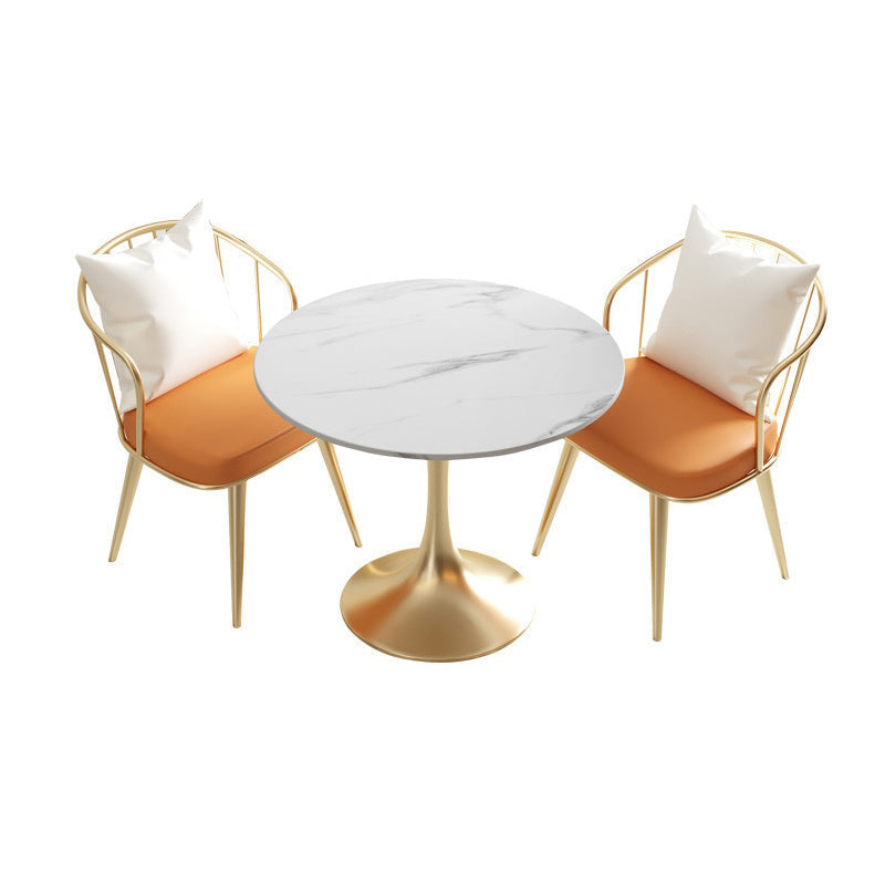 Glam Sintered Stone Dining Room Set with Gold Leg Dining Furniture for Home Use 3 Piece Set Clearhalo 'Dining Room Sets' 'Dining Tables & Seating' 'dining_room_set' 'furn' 'furn_dining_room_set' 'Furniture' 'furniture_dining_room_set' 'Kitchen & Dining Furniture' 'kitchen&dining_furn' 'kitchen' 3473986