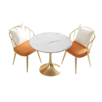 Glam Sintered Stone Dining Room Set with Gold Leg Dining Furniture for Home Use 3 Piece Set Clearhalo 'Dining Room Sets' 'Dining Tables & Seating' 'dining_room_set' 'furn' 'furn_dining_room_set' 'Furniture' 'furniture_dining_room_set' 'Kitchen & Dining Furniture' 'kitchen&dining_furn' 'kitchen' 3473986