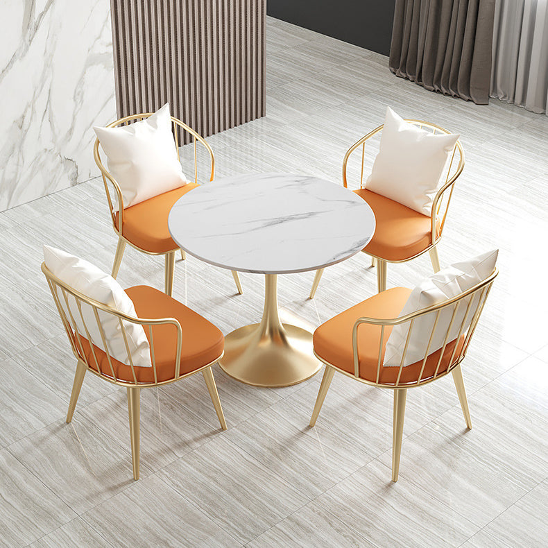 Glam Sintered Stone Dining Room Set with Gold Leg Dining Furniture for Home Use Clearhalo 'Dining Room Sets' 'Dining Tables & Seating' 'dining_room_set' 'furn' 'furn_dining_room_set' 'Furniture' 'furniture_dining_room_set' 'Kitchen & Dining Furniture' 'kitchen&dining_furn' 'kitchen' 3473987