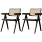 Solid Wood Traditional Dining Room Chair Matte Finish Cane Back Dining Arm Chairs Black 2 Piece Set Clearhalo ' kitchen&dining_furn' 'Dining Chairs' 'Dining Tables & Seating' 'dining_chair' 'furn' 'furn_dining_chair' 'Furniture' 'furniture_dining_chair' 'Kitchen & Dining Furniture' 'kitchen' 3483823