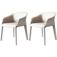 Metal Contemporary Dining Room Chair Metallic Finish Solid Back Dining Chair Off-White 2 Piece Set Clearhalo ' kitchen&dining_furn' 'Dining Chairs' 'Dining Tables & Seating' 'dining_chair' 'furn' 'furn_dining_chair' 'Furniture' 'furniture_dining_chair' 'Kitchen & Dining Furniture' 'kitchen' 3483871