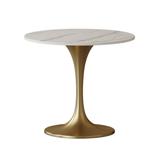 Scandinavian Kitchen Dining Room Set with Sintered Stone Top and Metal Base Dining Set Clearhalo 'Dining Room Sets' 'Dining Tables & Seating' 'dining_room_set' 'furn' 'furn_dining_room_set' 'Furniture' 'furniture_dining_room_set' 'Kitchen & Dining Furniture' 'kitchen&dining_furn' 'kitchen' 3485029