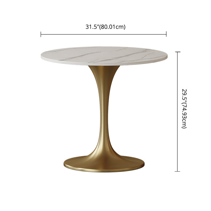 Scandinavian Kitchen Dining Room Set with Sintered Stone Top and Metal Base Dining Set Clearhalo 'Dining Room Sets' 'Dining Tables & Seating' 'dining_room_set' 'furn' 'furn_dining_room_set' 'Furniture' 'furniture_dining_room_set' 'Kitchen & Dining Furniture' 'kitchen&dining_furn' 'kitchen' 3485034