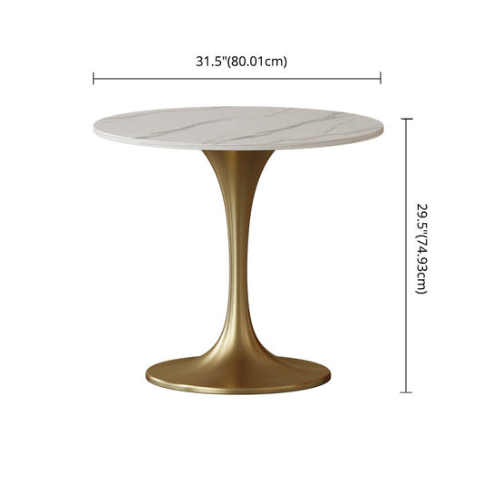 Scandinavian Kitchen Dining Room Set with Sintered Stone Top and Metal Base Dining Set Clearhalo 'Dining Room Sets' 'Dining Tables & Seating' 'dining_room_set' 'furn' 'furn_dining_room_set' 'Furniture' 'furniture_dining_room_set' 'Kitchen & Dining Furniture' 'kitchen&dining_furn' 'kitchen' 3485034