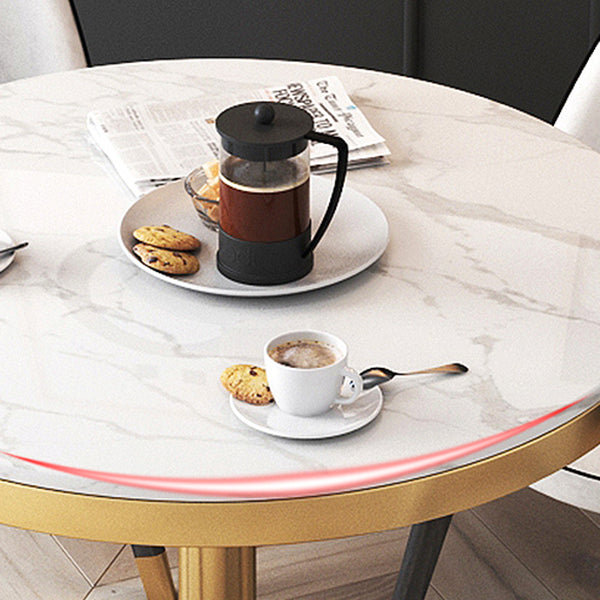 Nordic Sintered Stone Dining Room Set Standard Height with Pedestal Base Dining Furniture Clearhalo 'Dining Room Sets' 'Dining Tables & Seating' 'dining_room_set' 'furn' 'furn_dining_room_set' 'Furniture' 'furniture_dining_room_set' 'Kitchen & Dining Furniture' 'kitchen&dining_furn' 'kitchen' 3485141