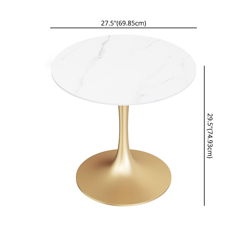 Glam Style Sintered Stone Dining Room Set Standard Height with Gold Base Dining Set Clearhalo 'Dining Room Sets' 'Dining Tables & Seating' 'dining_room_set' 'furn' 'furn_dining_room_set' 'Furniture' 'furniture_dining_room_set' 'Kitchen & Dining Furniture' 'kitchen&dining_furn' 'kitchen' 3486071