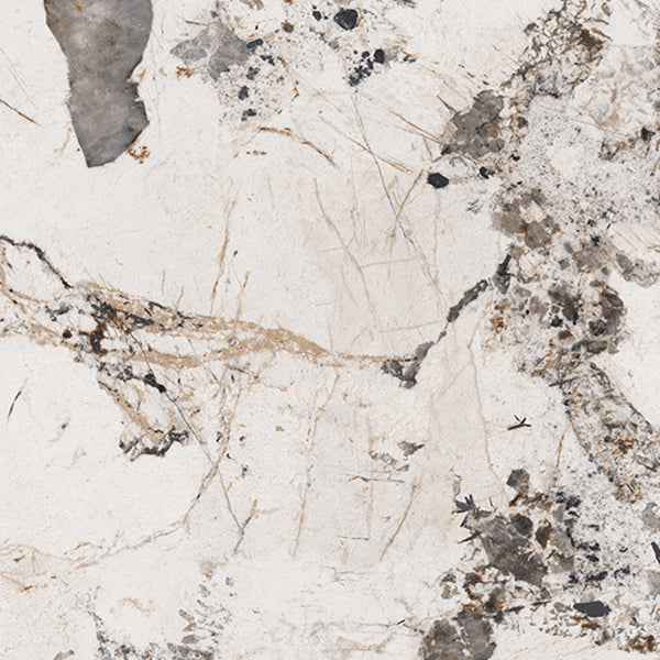 Dining Room Set Contemporary with Sintered Stone Dining Table and Cushion Chairs Clearhalo 'Dining Room Sets' 'Dining Tables & Seating' 'dining_room_set' 'furn' 'furn_dining_room_set' 'Furniture' 'furniture_dining_room_set' 'Kitchen & Dining Furniture' 'kitchen&dining_furn' 'kitchen' 3491575