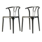 Plastic Side Chair Contemporary Style Multicolor Armless Chair for Dining Room Black 2 Piece Set Clearhalo ' kitchen&dining_furn' 'Dining Chairs' 'Dining Tables & Seating' 'dining_chair' 'furn' 'furn_dining_chair' 'Furniture' 'furniture_dining_chair' 'Kitchen & Dining Furniture' 'kitchen' 3493802