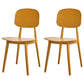 Contemporary Style Plastic Dining Chairs Multicolor Open Back Side Chair Ginger 2 Piece Set Clearhalo ' kitchen&dining_furn' 'Dining Chairs' 'Dining Tables & Seating' 'dining_chair' 'furn' 'furn_dining_chair' 'Furniture' 'furniture_dining_chair' 'Kitchen & Dining Furniture' 'kitchen' 3517039