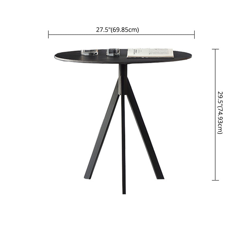 Modern Style Sintered Stone Dining Room Set Black Round Formal Dining Table Furniture Clearhalo 'Dining Room Sets' 'Dining Tables & Seating' 'dining_room_set' 'furn' 'furn_dining_room_set' 'Furniture' 'furniture_dining_room_set' 'Kitchen & Dining Furniture' 'kitchen&dining_furn' 'kitchen' 3522823