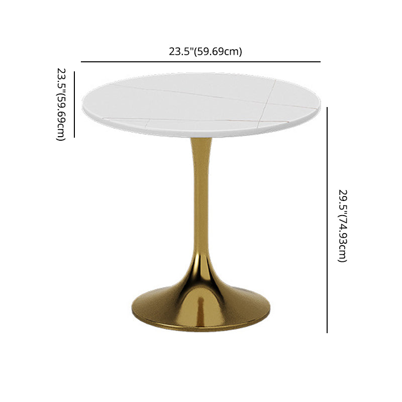 Glam Sintered Stone Dining Room Set with Round Table Formal Dining Table Furniture Clearhalo 'Dining Room Sets' 'Dining Tables & Seating' 'dining_room_set' 'furn' 'furn_dining_room_set' 'Furniture' 'furniture_dining_room_set' 'Kitchen & Dining Furniture' 'kitchen&dining_furn' 'kitchen' 3526296
