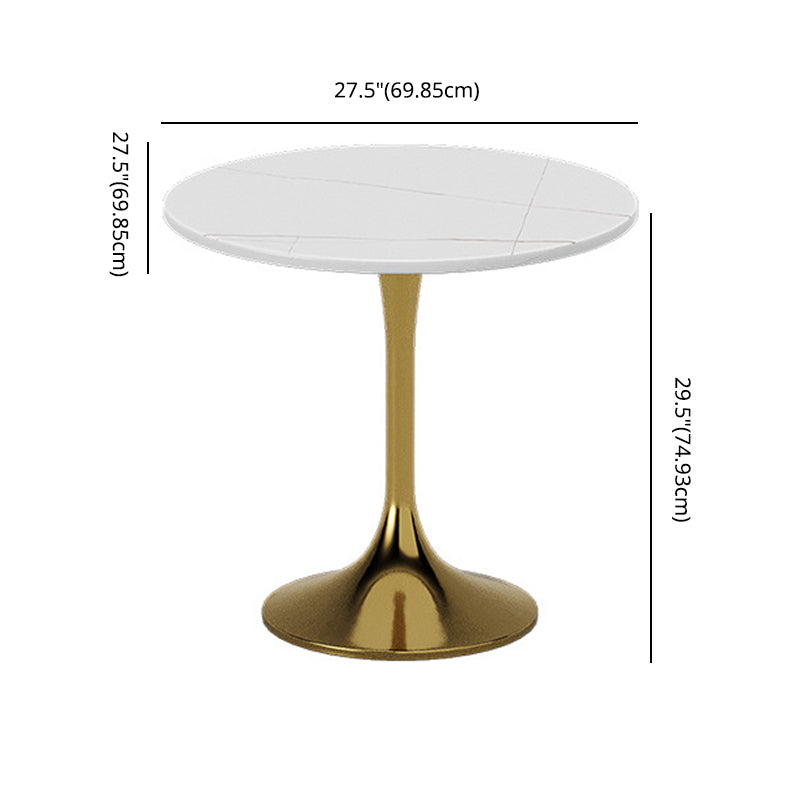 Glam Sintered Stone Dining Room Set with Round Table Formal Dining Table Furniture Clearhalo 'Dining Room Sets' 'Dining Tables & Seating' 'dining_room_set' 'furn' 'furn_dining_room_set' 'Furniture' 'furniture_dining_room_set' 'Kitchen & Dining Furniture' 'kitchen&dining_furn' 'kitchen' 3526297