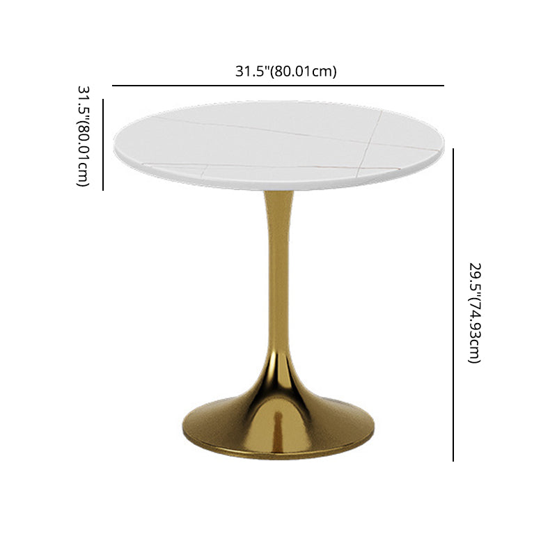 Glam Sintered Stone Dining Room Set with Round Table Formal Dining Table Furniture Clearhalo 'Dining Room Sets' 'Dining Tables & Seating' 'dining_room_set' 'furn' 'furn_dining_room_set' 'Furniture' 'furniture_dining_room_set' 'Kitchen & Dining Furniture' 'kitchen&dining_furn' 'kitchen' 3526298
