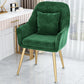 Scandinavian Style Metal Dining Chair Bedroom Solid Back Dining Arm Chairs Green 1 Piece Brass Gold Clearhalo ' kitchen&dining_furn' 'Dining Chairs' 'Dining Tables & Seating' 'dining_chair' 'furn' 'furn_dining_chair' 'Furniture' 'furniture_dining_chair' 'Kitchen & Dining Furniture' 'kitchen' 3539781