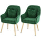 Scandinavian Style Metal Dining Chair Bedroom Solid Back Dining Arm Chairs Green 2 Piece Set Brass Gold Clearhalo ' kitchen&dining_furn' 'Dining Chairs' 'Dining Tables & Seating' 'dining_chair' 'furn' 'furn_dining_chair' 'Furniture' 'furniture_dining_chair' 'Kitchen & Dining Furniture' 'kitchen' 3539782