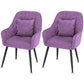 Scandinavian Style Metal Dining Chair Bedroom Solid Back Dining Arm Chairs Purple 2 Piece Set Black Clearhalo ' kitchen&dining_furn' 'Dining Chairs' 'Dining Tables & Seating' 'dining_chair' 'furn' 'furn_dining_chair' 'Furniture' 'furniture_dining_chair' 'Kitchen & Dining Furniture' 'kitchen' 3539788