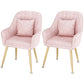 Scandinavian Style Metal Dining Chair Bedroom Solid Back Dining Arm Chairs Pink 2 Piece Set Brass Gold Clearhalo ' kitchen&dining_furn' 'Dining Chairs' 'Dining Tables & Seating' 'dining_chair' 'furn' 'furn_dining_chair' 'Furniture' 'furniture_dining_chair' 'Kitchen & Dining Furniture' 'kitchen' 3539818