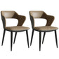 Nordic Metal Dining Chairs with Arm Indoor Open Back Dining Side Chair Brown 2 Piece Set Clearhalo ' kitchen&dining_furn' 'Dining Chairs' 'Dining Tables & Seating' 'dining_chair' 'furn' 'furn_dining_chair' 'Furniture' 'furniture_dining_chair' 'Kitchen & Dining Furniture' 'kitchen' 3540124
