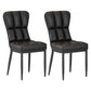 Metal Modern Dining Side Chair with Color Cushion Parsons Chairs for Home Black 2 Piece Set Black Clearhalo ' kitchen&dining_furn' 'Dining Chairs' 'Dining Tables & Seating' 'dining_chair' 'furn' 'furn_dining_chair' 'Furniture' 'furniture_dining_chair' 'Kitchen & Dining Furniture' 'kitchen' 3542397