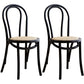Solid Wood Traditional Dining Room Chairs Matte Finish Windsor Back Side Chairs Black 2 Piece Set Clearhalo ' kitchen&dining_furn' 'Dining Chairs' 'Dining Tables & Seating' 'dining_chair' 'furn' 'furn_dining_chair' 'Furniture' 'furniture_dining_chair' 'Kitchen & Dining Furniture' 'kitchen' 3565435