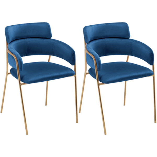 Glam Style Metal Kitchen Dining Room Chair Open Back Side Copper Chairs Navy Blue 2 Piece Set Clearhalo ' kitchen&dining_furn' 'Dining Chairs' 'Dining Tables & Seating' 'dining_chair' 'furn' 'furn_dining_chair' 'Furniture' 'furniture_dining_chair' 'Kitchen & Dining Furniture' 'kitchen' 3574012