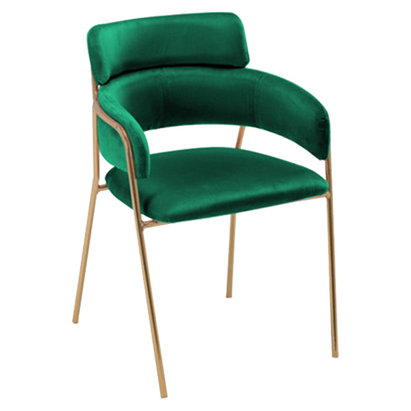 Glam Style Metal Kitchen Dining Room Chair Open Back Side Copper Chairs Blackish Green 1 Piece Clearhalo ' kitchen&dining_furn' 'Dining Chairs' 'Dining Tables & Seating' 'dining_chair' 'furn' 'furn_dining_chair' 'Furniture' 'furniture_dining_chair' 'Kitchen & Dining Furniture' 'kitchen' 3574023