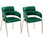 Glam Style Metal Kitchen Dining Room Chair Open Back Side Copper Chairs Blackish Green 2 Piece Set Clearhalo ' kitchen&dining_furn' 'Dining Chairs' 'Dining Tables & Seating' 'dining_chair' 'furn' 'furn_dining_chair' 'Furniture' 'furniture_dining_chair' 'Kitchen & Dining Furniture' 'kitchen' 3574025
