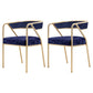 Flannel Scandinavian Restaurant Arm Chair Open Multi-color Dining Chair Blue 2 Piece Set Brass Gold Clearhalo ' kitchen&dining_furn' 'Dining Chairs' 'Dining Tables & Seating' 'dining_chair' 'furn' 'furn_dining_chair' 'Furniture' 'furniture_dining_chair' 'Kitchen & Dining Furniture' 'kitchen' 3574791