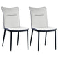 Home Scandinavian Side Chair Indoor Solid Back Metal Dining Room Chair Grey 2 Piece Set Clearhalo ' kitchen&dining_furn' 'Dining Chairs' 'Dining Tables & Seating' 'dining_chair' 'furn' 'furn_dining_chair' 'Furniture' 'furniture_dining_chair' 'Kitchen & Dining Furniture' 'kitchen' 3574830