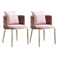 Scandinavian Bedroom Velvet Side Chair Light Color Solid Back Dining Chair Pink 2 Piece Set Clearhalo ' kitchen&dining_furn' 'Dining Chairs' 'Dining Tables & Seating' 'dining_chair' 'furn' 'furn_dining_chair' 'Furniture' 'furniture_dining_chair' 'Kitchen & Dining Furniture' 'kitchen' 3575019