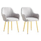 Scandinavian Dining Arm Chair Solid Back Side Chair with Metal Legs for Home Use Grey 2 Piece Set Brass Gold Clearhalo ' kitchen&dining_furn' 'Dining Chairs' 'Dining Tables & Seating' 'dining_chair' 'furn' 'furn_dining_chair' 'Furniture' 'furniture_dining_chair' 'Kitchen & Dining Furniture' 'kitchen' 3575383
