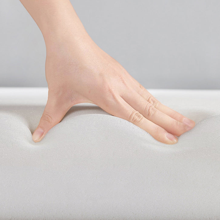 Modern Style Solid Wood Side Chair Solid Back Dining Chair for Dinning Room Clearhalo ' kitchen&dining_furn' 'Dining Chairs' 'Dining Tables & Seating' 'dining_chair' 'furn' 'furn_dining_chair' 'Furniture' 'furniture_dining_chair' 'Kitchen & Dining Furniture' 'kitchen' 3575632