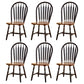 Solid Wood Traditional Dining Room Chair Matte Finish Windsor Back Side Chair Black 6 Piece Set Clearhalo ' kitchen&dining_furn' 'Dining Chairs' 'Dining Tables & Seating' 'dining_chair' 'furn' 'furn_dining_chair' 'Furniture' 'furniture_dining_chair' 'Kitchen & Dining Furniture' 'kitchen' 3576341
