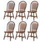 Solid Wood Traditional Dining Room Chair Matte Finish Windsor Back Side Chair Dark Coffee 6 Piece Set Clearhalo ' kitchen&dining_furn' 'Dining Chairs' 'Dining Tables & Seating' 'dining_chair' 'furn' 'furn_dining_chair' 'Furniture' 'furniture_dining_chair' 'Kitchen & Dining Furniture' 'kitchen' 3576344