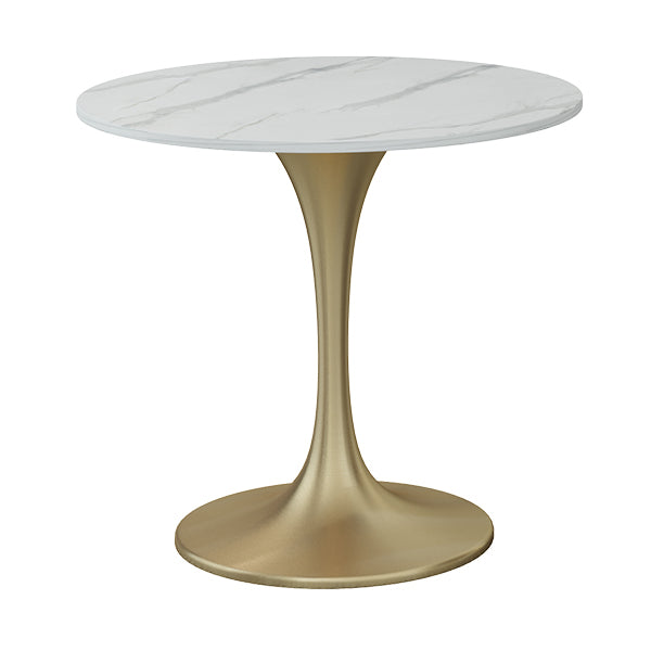 Contemporary Round Dining Table Sintered Stone Dining Table with Tulip Base 31.5"L x 31.5"W x 29.5"H Clearhalo ' dining_table' 'Dining Tables & Seating' 'Dining Tables' 'Furniture' 'furniture_dining_table' 'Kitchen & Dining Furniture' 'kitchen&dining_furn' 'kitchen' 'kitchen_dining_table' 3578103
