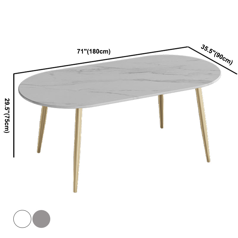Contemporary Oval Dining Table Sintered Stone Dining Table with 4 Metal Legs for Dining Room Clearhalo ' dining_table' 'Dining Tables & Seating' 'Dining Tables' 'Furniture' 'furniture_dining_table' 'Kitchen & Dining Furniture' 'kitchen&dining_furn' 'kitchen' 'kitchen_dining_table' 3578638