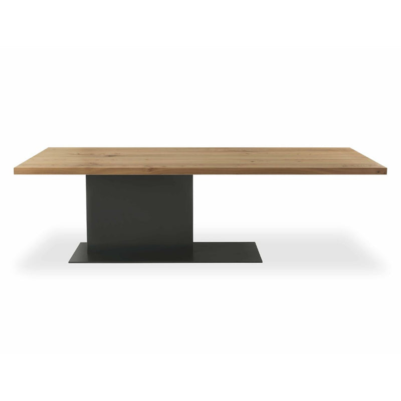 Modern Solid Wood Kitchen Dining Table Rectangle Standard Dining Table with Pedestal Base Without Chairs Clearhalo ' dining_table' 'Dining Tables & Seating' 'Dining Tables' 'furn' 'furn_dining_table' 'Furniture' 'furniture_dining_table' 'Kitchen & Dining Furniture' 'kitchen&dining_furn' 'kitchen' 'kitchen_dining_table' 3583039