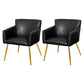Contemporary Chairs Kitchen Parsons Dining Armchair with Carbon Steel Legs Black 2 Piece Set Brass Gold Clearhalo ' kitchen&dining_furn' 'Dining Chairs' 'Dining Tables & Seating' 'dining_chair' 'furn' 'furn_dining_chair' 'Furniture' 'furniture_dining_chair' 'Kitchen & Dining Furniture' 'kitchen' 3597998