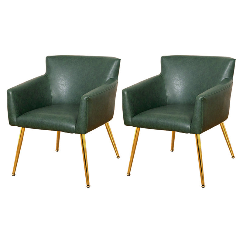Contemporary Chairs Kitchen Parsons Dining Armchair with Carbon Steel Legs Green 2 Piece Set Brass Gold Clearhalo ' kitchen&dining_furn' 'Dining Chairs' 'Dining Tables & Seating' 'dining_chair' 'furn' 'furn_dining_chair' 'Furniture' 'furniture_dining_chair' 'Kitchen & Dining Furniture' 'kitchen' 3598022