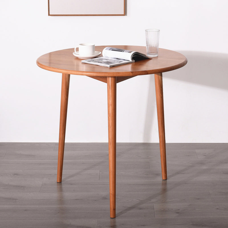 Solid Wood Double Pedestal Dining Table Simplicity Style Round Dinette Table Clearhalo ' dining_table' 'Dining Tables & Seating' 'Dining Tables' 'furn' 'furn_dining_table' 'Furniture' 'furniture_dining_table' 'Kitchen & Dining Furniture' 'kitchen&dining_furn' 'kitchen' 'kitchen_dining_table' 3600107