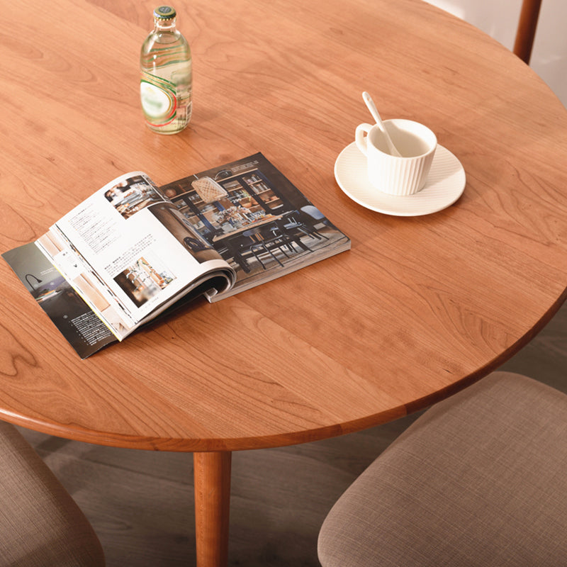 Solid Wood Double Pedestal Dining Table Simplicity Style Round Dinette Table Clearhalo ' dining_table' 'Dining Tables & Seating' 'Dining Tables' 'furn' 'furn_dining_table' 'Furniture' 'furniture_dining_table' 'Kitchen & Dining Furniture' 'kitchen&dining_furn' 'kitchen' 'kitchen_dining_table' 3600110